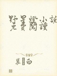 野星灯小说全文免费阅读