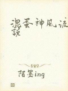 混蛋神风流史小说