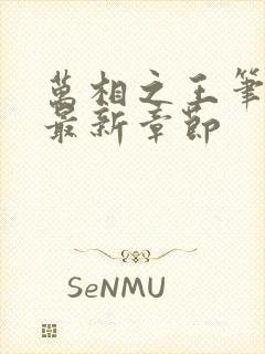 万相之王笔趣阁最新章节封面