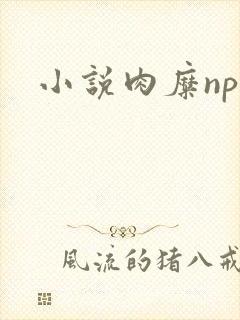 小说肉糜np