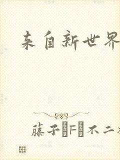 来自新世界小说