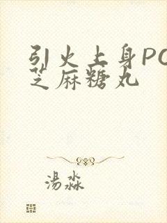 引火上身POP芝麻糖丸