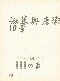 淑蓉与老卫1-10章封面