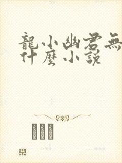 龙小幽君无邪是什么小说