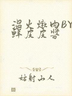 温火炖肉BY海鲜皮皮酱