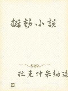 挺动小说