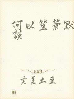 何以笙箫默 小说