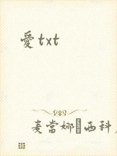 爱txt