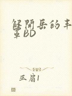 解开岳的丰满奶罩BD