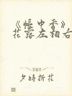 《帐中香》金银花露左相右相