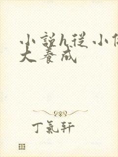 小说h从小做到大养成