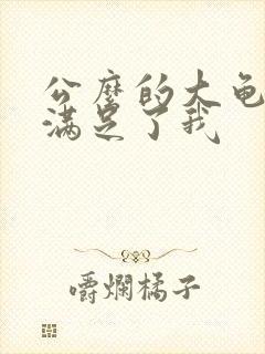 公么的大龟强大满足了我