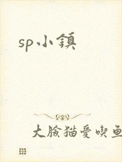 sp小镇封面