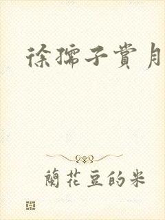 徐孺子赏月封面