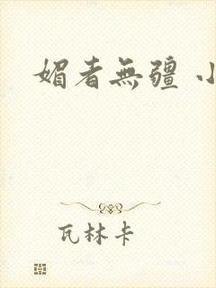 媚者无疆 小说封面