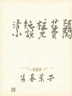 清纯校花堕落记小说免费阅读