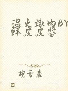 温火炖肉BY海鲜皮皮酱