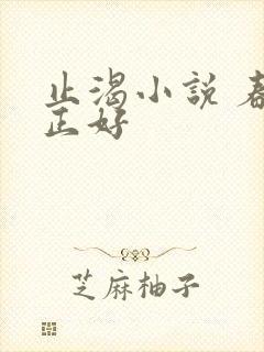 止渴小说 春光正好