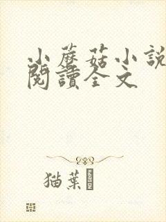 小蘑菇小说免费阅读全文封面