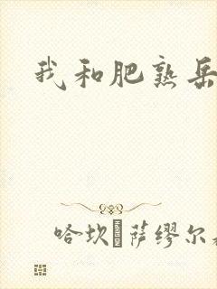 我和肥熟岳销魂封面
