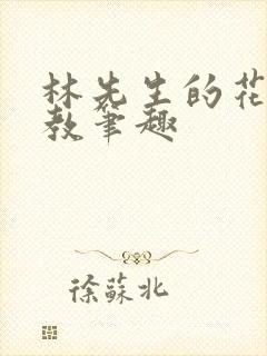 林先生的花式管教笔趣