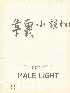 告白小说txt下载