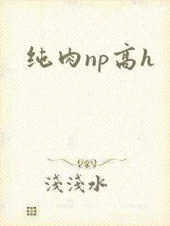 纯肉np高h