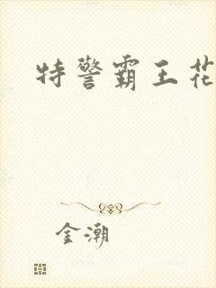 特警霸王花封面