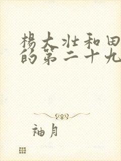 杨大壮和田桂花的第二十九