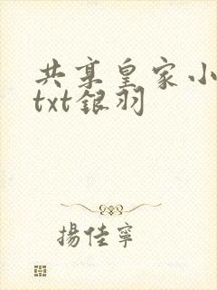 共享皇家小公主txt银羽