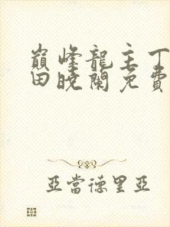 巅峰龙主丁长顺田晓兰免费阅读封面