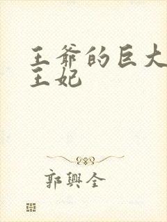 王爷的巨大进入王妃