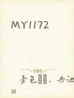 MY1172