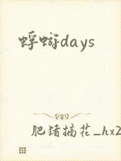 蜉蝣days封面