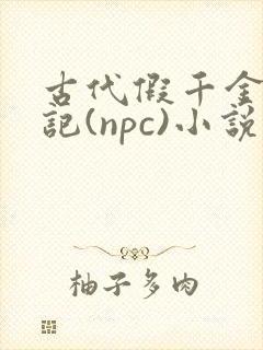 古代假千金挨日记(npc)小说