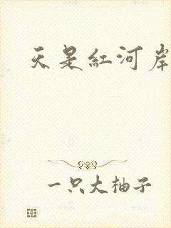 天是红河岸小说封面