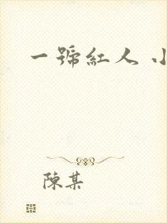 一号红人 小说