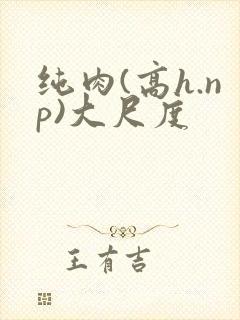 纯肉(高h.np)大尺度