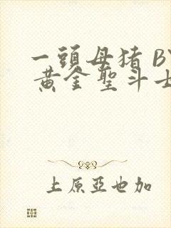 一头母猪 BY 黄金圣斗士