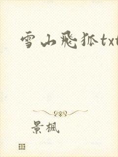 雪山飞狐txt