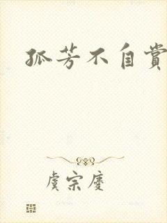 孤芳不自赏小说