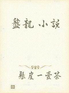 盘龙 小说
