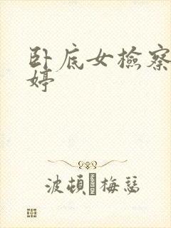 卧底女检察官许婷封面