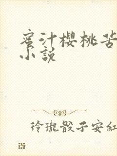 蜜汁樱桃苦咖啡小说