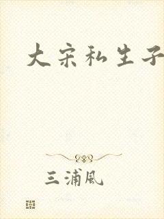 大宋私生子