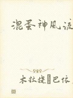 混蛋神风流记封面