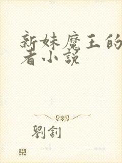 新妹魔王的契约者小说