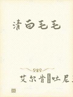 清白毛毛