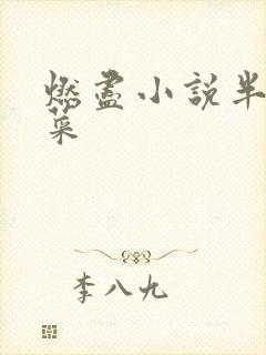 燃尽小说半截白菜