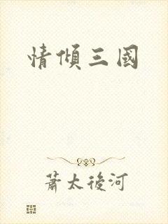 情倾三国封面